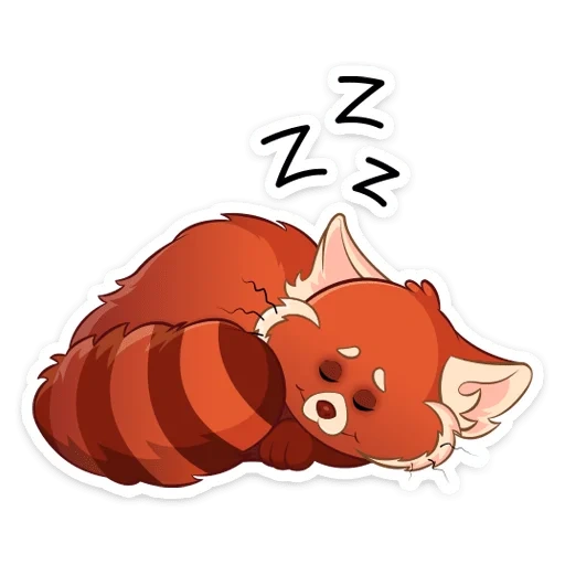 cat, fox, red panda, little panda cartoon