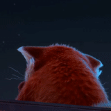 gatto, meme i agree, pussy kitty, gatto doccia cartone animato, è uscito un nuovo cartone animato più rosso dell'originale