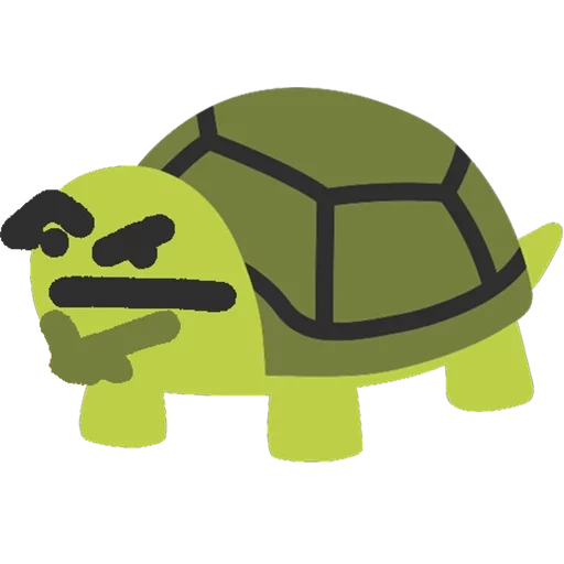 turtle, la tartaruga, faccia sorridente di tartaruga, tartaruga di discord, robot tartaruga disco