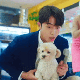 asia, exo sehun, aktor korea, vivi dog sehuna, zhi chan mengkrimus anjingnya