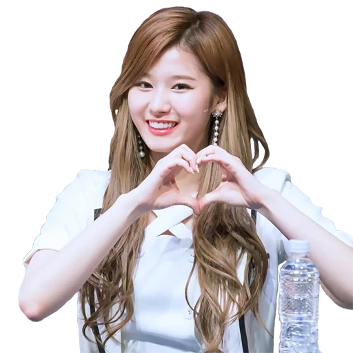 asiatiques, twice, sanatvese, twice sana, jessica snsd