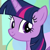 twilight, twilight flash, twilight shining sister, twilight shining animation, my little pony twilight sparkle