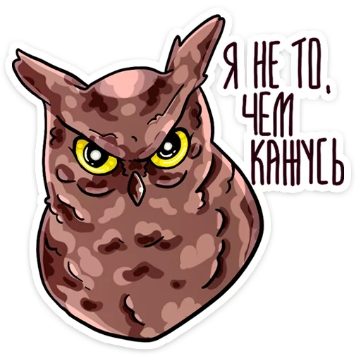 pack, owl, owl owl, twin pixe stickers
