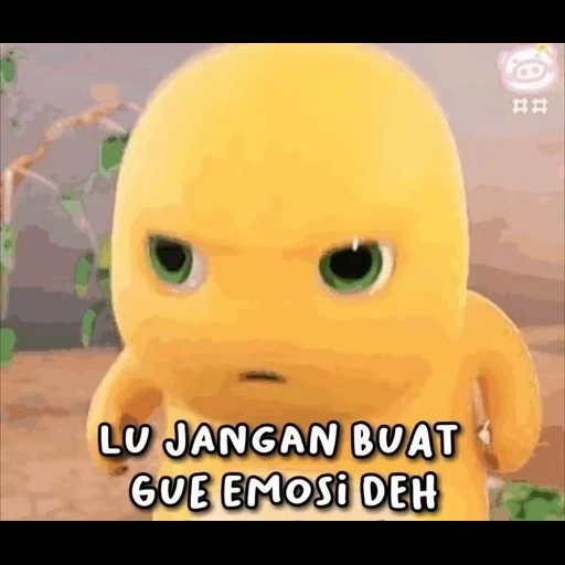 duck, toys, gambar lucu, duck toy, duckling