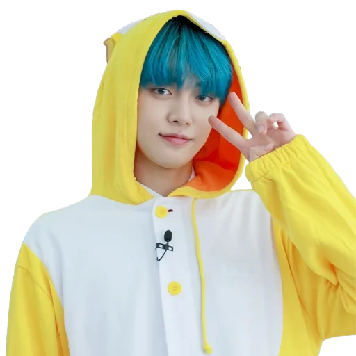 zheng zhongguo, bts chonguk, jungkook bts, bts jimin kigurumi, bts kigurumi chonguk