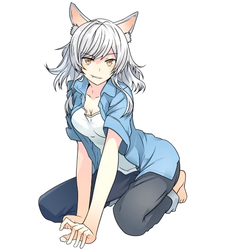 nekan, hanekawa noir, hanekava tsubas, hanekava tsubas 18, anime de chat de fille