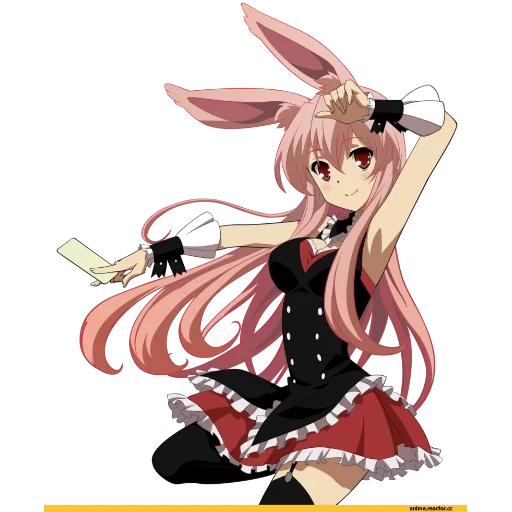 kuro usagi, lapin d'anime, lapin noir, anime kuro usagi, kuro usagi black rabbit