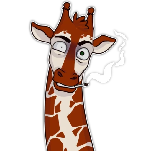 la giraffa, giraffa watsap, modello di giraffa, giraffa melman su sfondo bianco