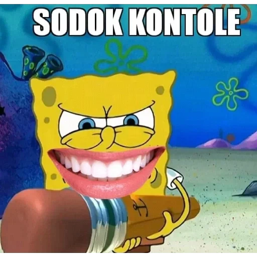 spongebob loser, spongebob hooligan, spongebob spongebob, spongebob square hose