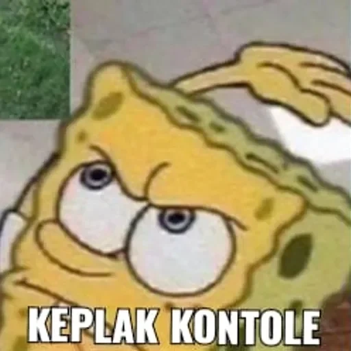 anak laki-laki, meme spongebob, wajah spongebob, face spongebob