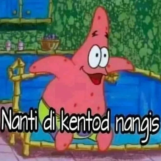 patrick, patrick starr, patrick se durmió, esponja patrick, esponja bebé patrick