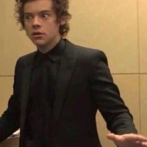 harry, harry stiles, meme di harry stiles, harry styles meme, meme di harry stiles