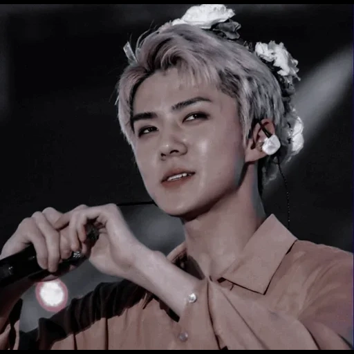 sehun, sehun exo, pak chanyeol, oh sehun rose, sekhun est un cœur