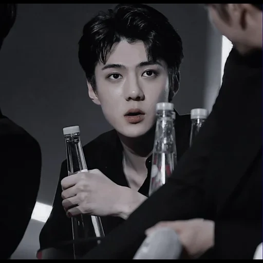 chanel, oh sehun, exo suho, exo sehun, pak chanyeol