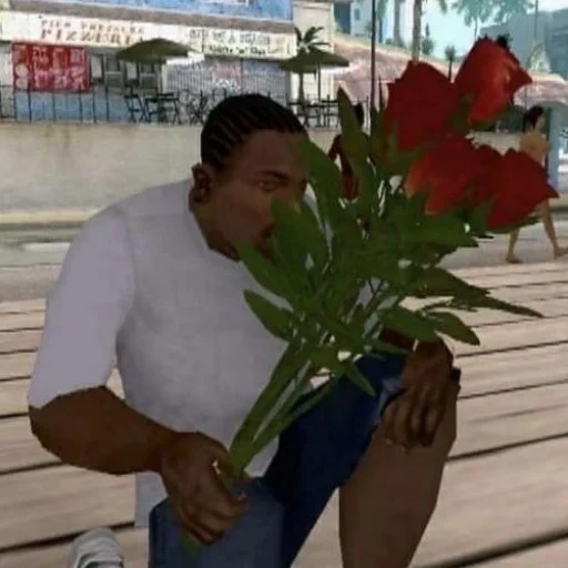 gta, il 23, lashin, fiori di sidge, grand theft auto san andreas