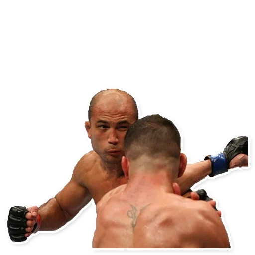 bi jay penn, bi jay penn diego sanchez, ultimate fighting championship, fight, peter yang yufs