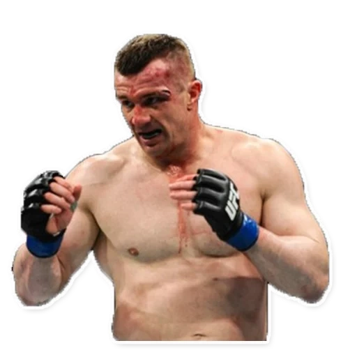 championnat de combat ultime, joe gonzag boxer, frank mirko krocope, male, dan henderson mirco crocop