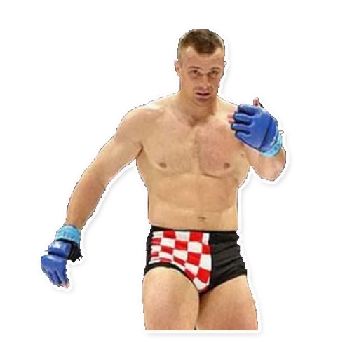 antokha mc, vasylev vasilevsky fighter, fedor crokop, combador croata mirko crocop, mirko crocop 2000