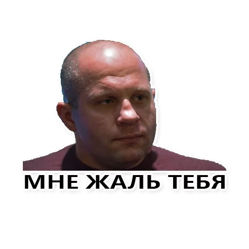 fedor emelianenko, combattre fyodor emelianenko, emelianenko, romain romain grigoryevich, fedor emelianenko ivre