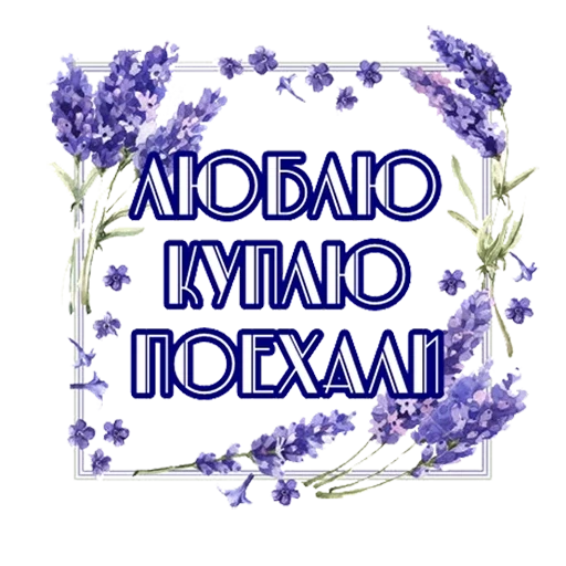 цветы, цветы лаванда, lavender flower, цветы акварельные, фон акварельные цветы