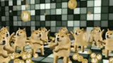 emoji, cheems, dorje currency, dancing dog