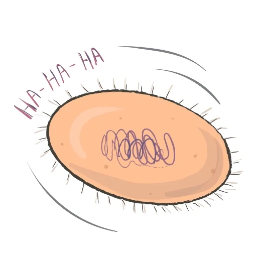 testo del testo, le illustrazioni, illustrazioni alimentari, illustrazioni vettoriali, grafica vettoriale di deflusso