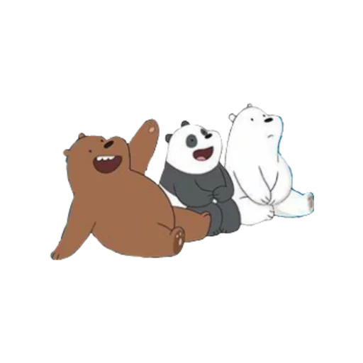 l'orso, orso carino, orso panda, orso allegro, tutta la verità sugli orsi