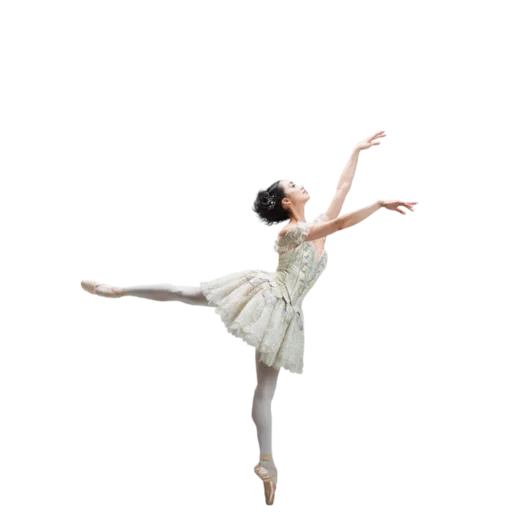 balletto, le ballerine, balletto di danza, dipinti di ballerine, introduzione della balletta