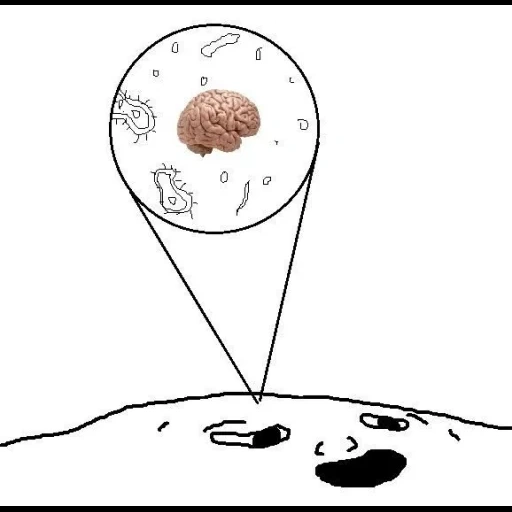 otak, orang, diagram, ilustrasi