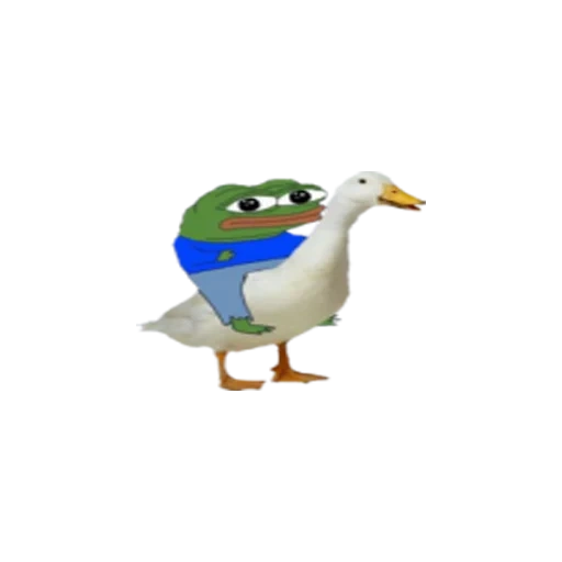 ducks, goose, duck, pepe goose, duck emoji