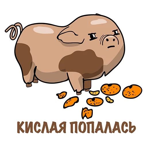 хрюня, смайлик стим хрюня, кошка хрюня пак вацап