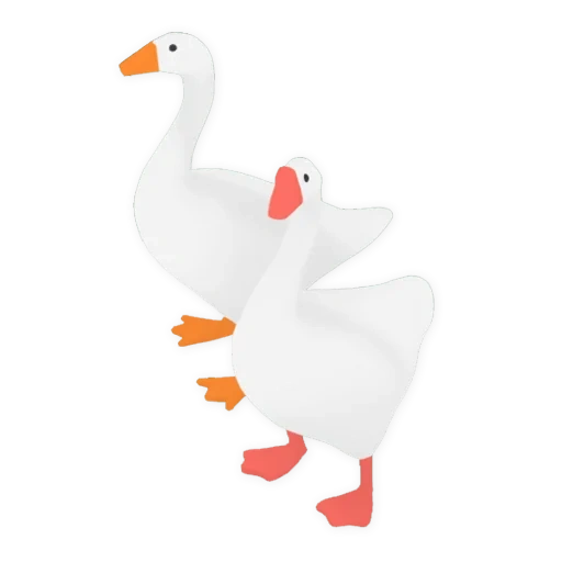 goose, goose and duck, duck white, cheerful goose, domestic goose