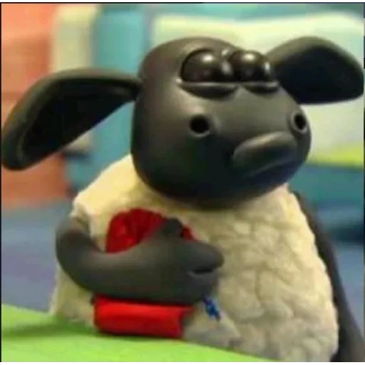 shaun si domba, barati timmy, barashka sean timmy, kartun lamb sean, domba sean timmy tim