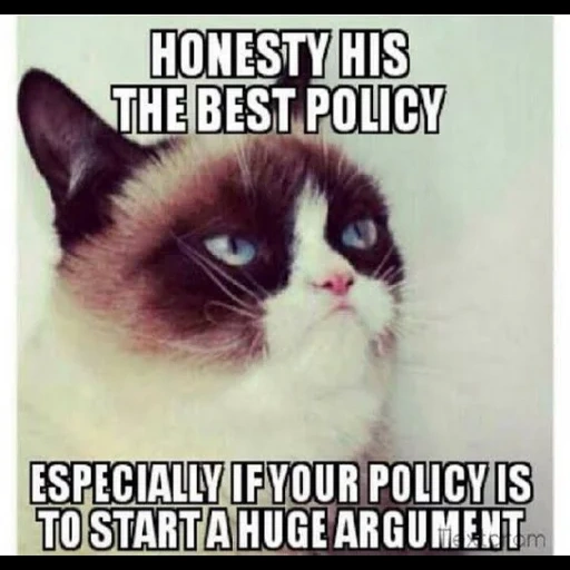 grumpy cat meme, grumpy cat, угрюмый кот, кот мем, grumpy cat мемы