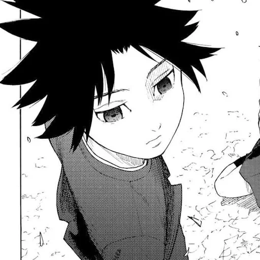 manga, manga anime, manga é um rapaz, características manga, o anime da manga do personagem