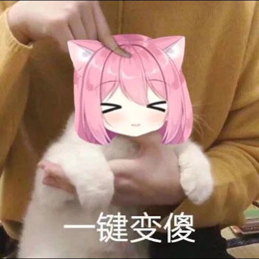 animação fofa, gato anime, nekomiya hinata, padrão de anime bonito, animação de gato prímula