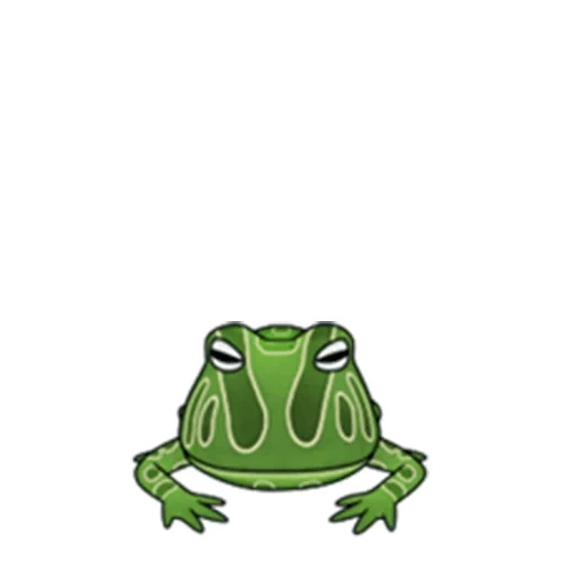 toad, frog, katak, kodok katak, katak berlari kencang