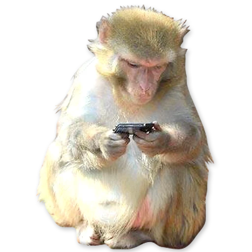 kit, monkey phone