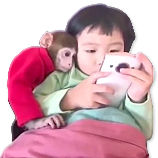 beaux enfants, vidéo flash, bébés asiatiques, petits garçons coréens enfants, singe par une fille du japon qui regarde la vidéo du téléphone