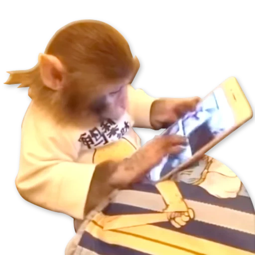 téléphone de singe, téléphone de singe, téléphone de singe, petit singe, singe avec un smartphone