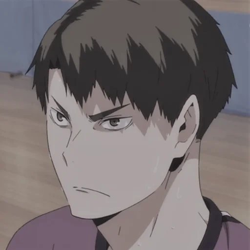 anime, vakatoshi, anime characters, vakatoshi ushijima, volleyball anime vakatoshi