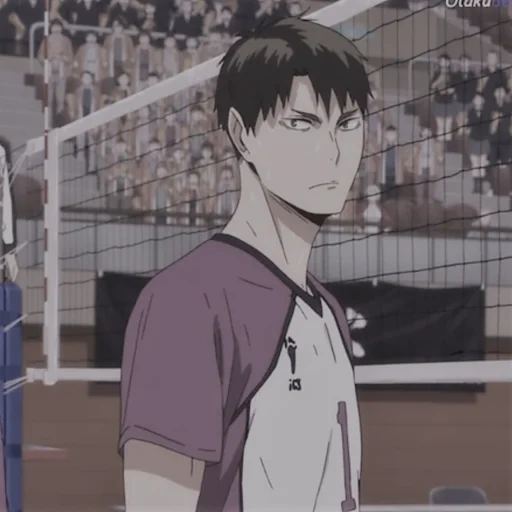 abb, haikyuu, big island, anime volleyball, wakujima wakujima