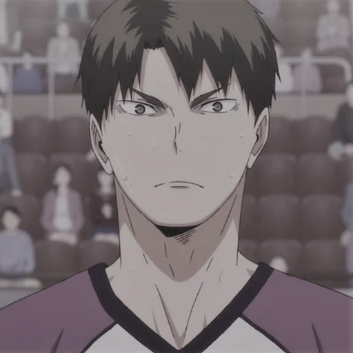 haikyuu, haikyu anime, anime volleyball, vakatoshi ushijima, shiratorizava ushijima