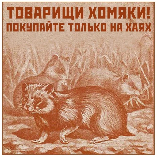 soviet poster, old poster, don't panic, dobriaaye hamster poster, soviet hamster poster