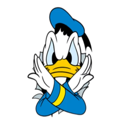 pato donald, duck donald duck, donald duck está enojado, héroes de disney de dibujos animados de donald