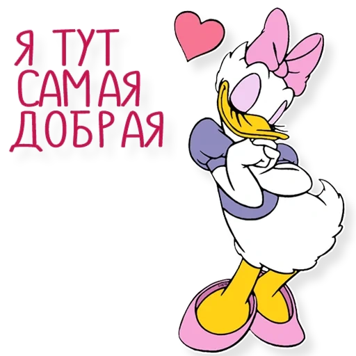 canard de marguerite, donald duck, daisy ponochka