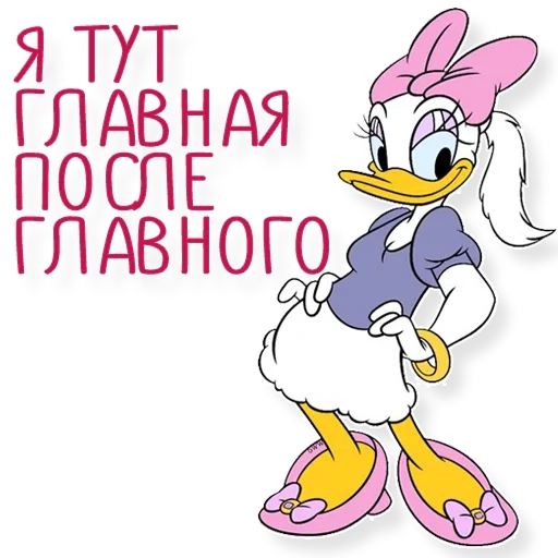 pato daisy, pato daisy, personagem da disney