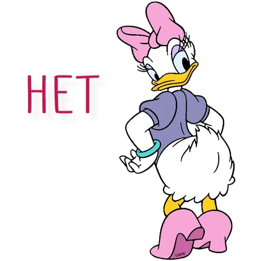 canard de marguerite, daisy ponochka, daisy duck donald daka