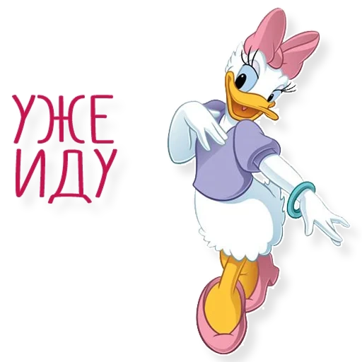 daisy, daisy duck, donald duck, daisy duck 34