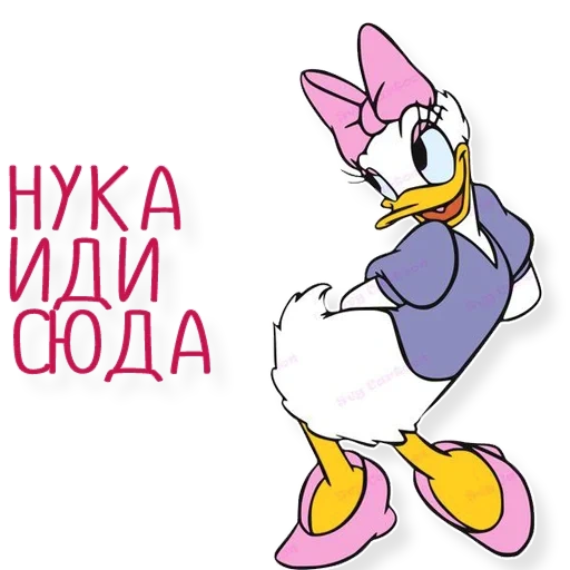 daisy duck, daisy dak 34, daisy ponochka, duck daka duck